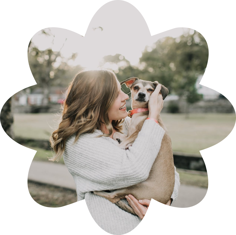 dog sitter